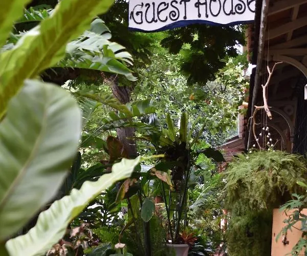 Afonso Guest House - Fontainhas